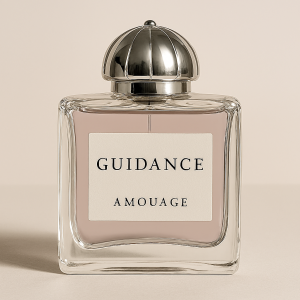 Guidance